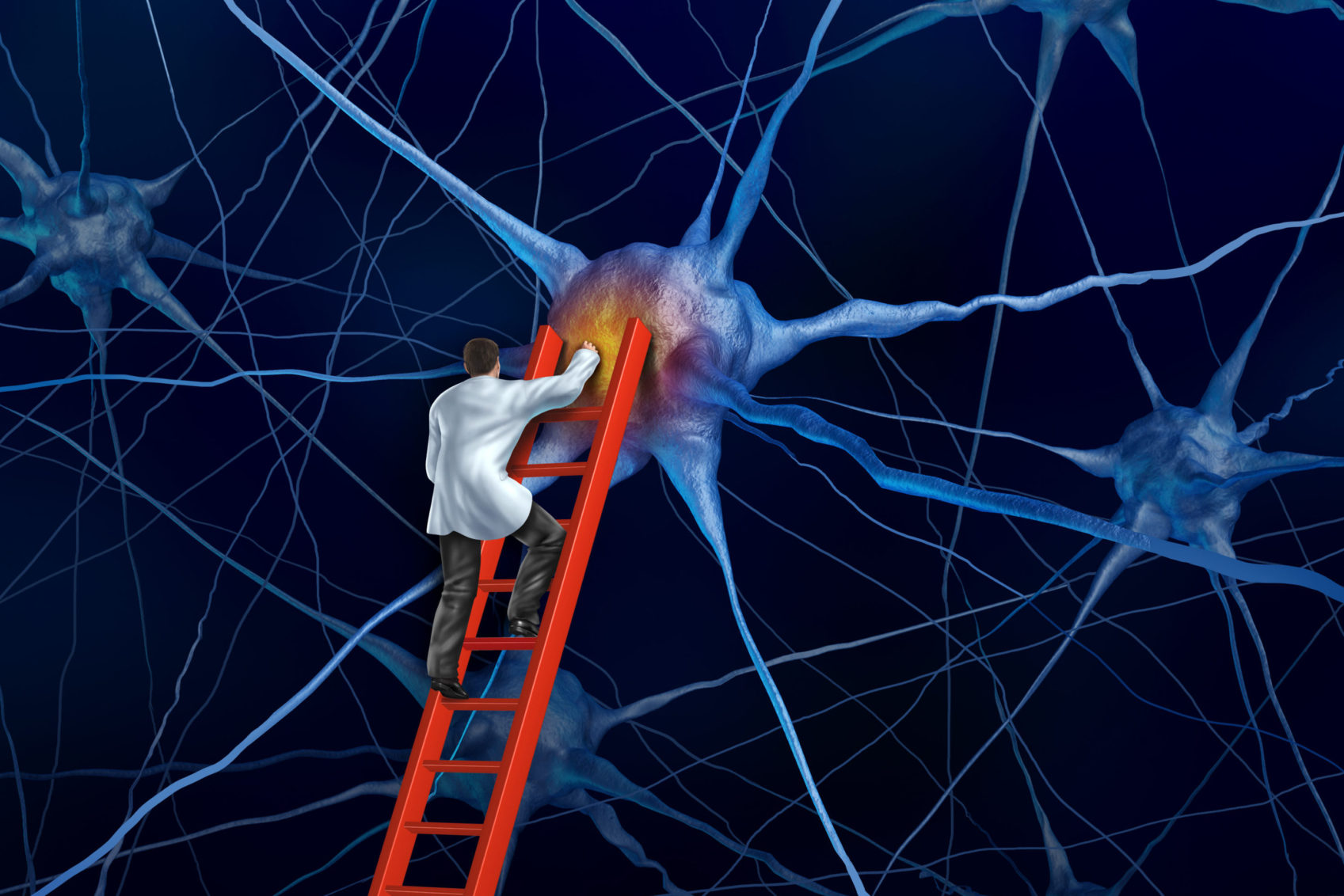 Новые клетки мозга. Нейронные связи. Нейроны мозга. Связь нейронов головного мозга. Нейронные связи человека.